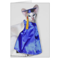 Graduation Cat Greeting Card cards
