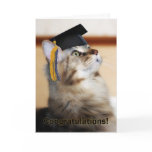 Graduation Congratulations Cat Wearing Mortarboard Card
