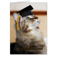 Graduation Congratulations Cat Wearing Mortarboard Greeting Card