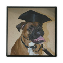 Graduation Day magnets