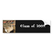Graduation goose bumper stickers by ritmophoto Graduation goose bumper stickers