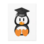 Graduation Penguin Postcards