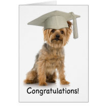 Graduation Yorkie Congratulations cards