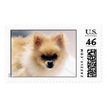 Grady Farber postage