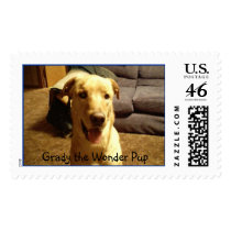 Grady the Wonder Pup postage by gradydog Grady the Wonder Pup postage
