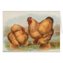 Graham - Buff Cochin Chickens cards by LisasLair Graham - Buff Cochin Chickens cards