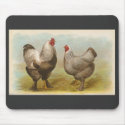 Graham - Dark Brahma Chickens mousepads