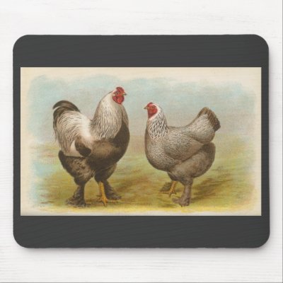 Graham - Dark Brahma Chickens Mouse Mats by LisasLair