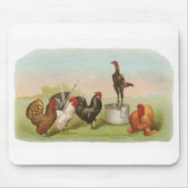 Graham - Group of Chickens mousepads