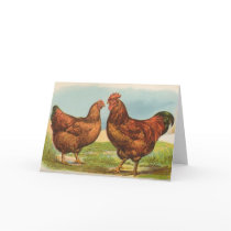 Graham - Rhode Island Red Chickens cards