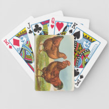 Graham - Rhode Island Red Chickens Playing Cards