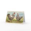 Graham - Silver Laced Wyandotte Chickens cards