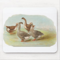 Graham - Toulouse and Brown China Geese mousepads by LisasLair Graham - Toulouse and Brown China Geese mousepads