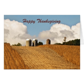 Grain Harvest Thanksgiving