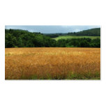 Grain Market Business Cards