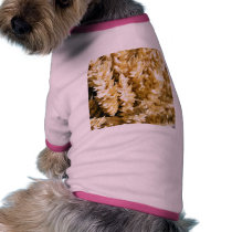 Grain Plant Seed pet clothing by lifesphere Grain Plant Seed pet clothing