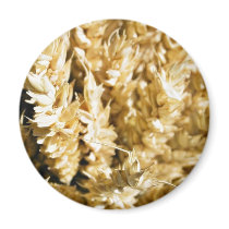 Grain Plant Seed magnets