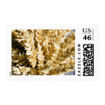 Grain Plant Seed postage