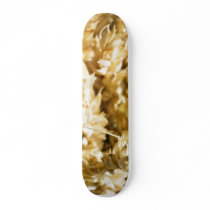 Grain Plant Seed skateboards by lifesphere Grain Plant Seed skateboards