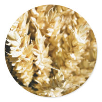Grain Plant Seed stickers