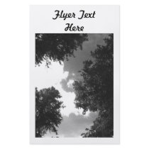 Grainy Black and White image of Trees and Sky. Flyer Design