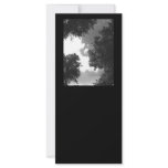 Grainy Black and White image of Trees and Sky. Rack Card