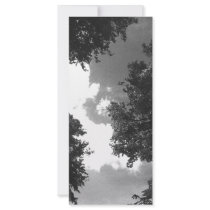 Grainy Black and White image of Trees and Sky. Full Color Rack Card