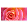 Granada Pink Rose Close Up Custom Photo Card