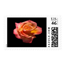 Granada Tea Rose Postage