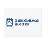 Grand Anglo-Francais Blanc Et Noir Blue Postcard