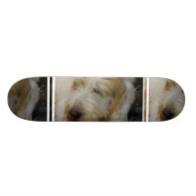 Grand Basset Dog Skateboard