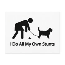 Grand Basset Griffon Vendeen postcards
