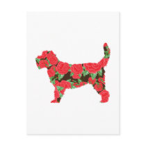 Grand Basset Griffon Vendeen postcards