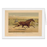 Grand California Trotting Mare Sunol (0652A) cards