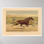 Grand California Trotting Mare Sunol (0652A) Poster
