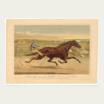 Grand California Trotting Mare Sunol (0652A) posters