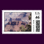 Grand Canyon and Pines 2