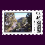 Grand Canyon and Pines