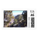 Grand Canyon and Pines