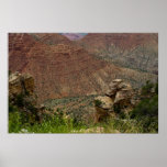 Grand Canyon at Navajo Point 4880 Print