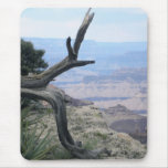Grand Canyon branch mousepad