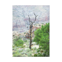 Grand Canyon canvas print canvas prints