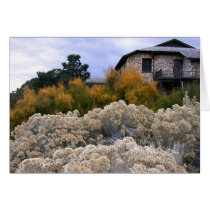 Grand Canyon Fall Colors cards