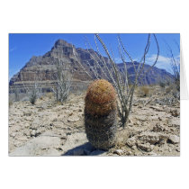 Grand Canyon flower cards by imagemosaic Grand Canyon flower cards