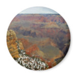 Grand Canyon from South Rim Fridge Magnets