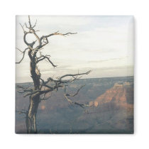 Grand Canyon magnets by quetzal323 Grand Canyon magnets