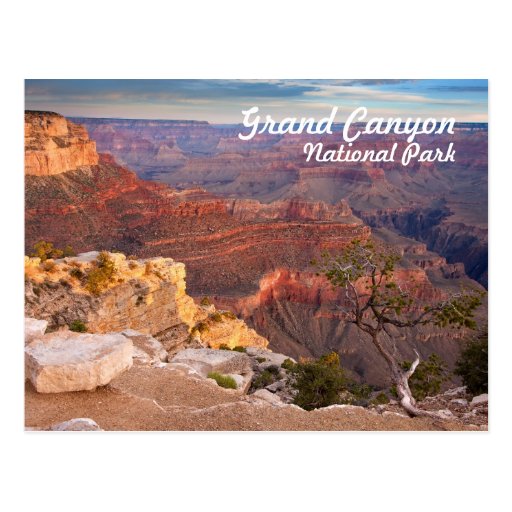 Grand Canyon National Park Postcard Zazzle