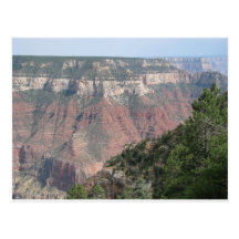 Grand Canyon North Rim Postcard