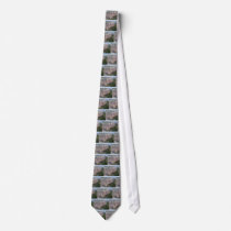 Grand Canyon North Rim Custom Ties