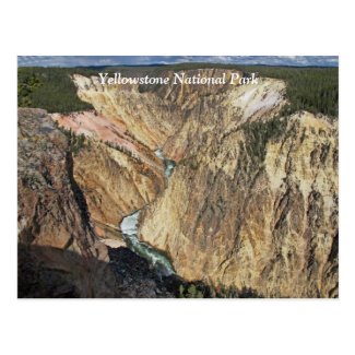 Grand Canyon of the Yellowstone Scenic Postcard